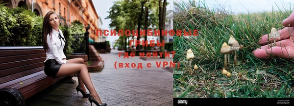 марки nbome Алексеевка