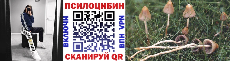 Псилоцибиновые грибы MAGIC MUSHROOMS  Харовск 